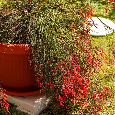 Bella Vista - Two Bedroom With Sea View Apartment Mlini