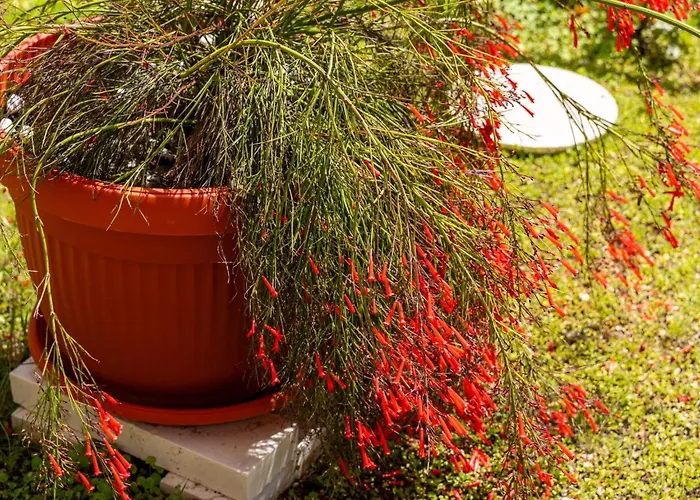 Bella Vista - Two Bedroom With Sea View شقة مْليني